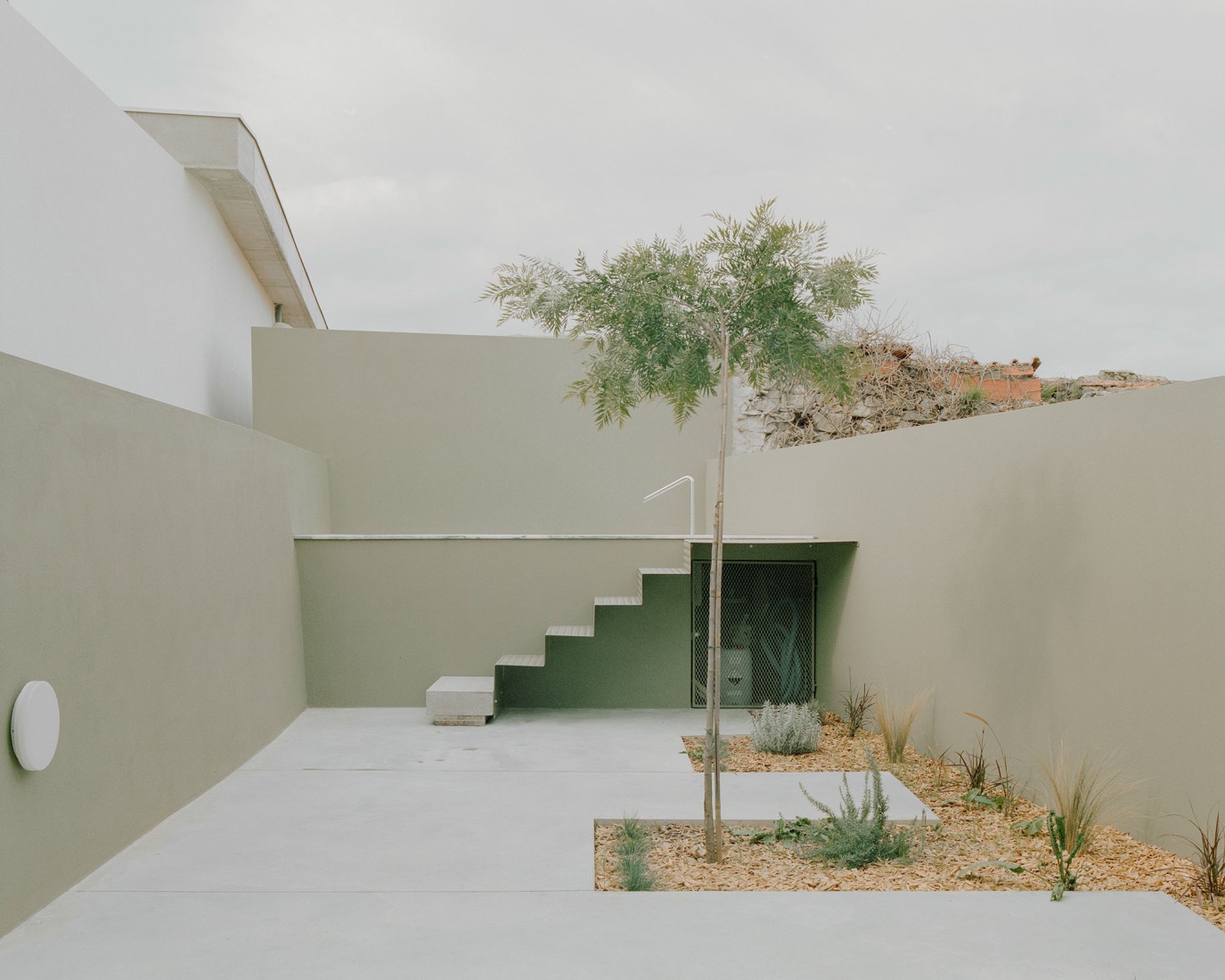 Gago Green House by Bruno Dias Arquitectura. Photograph by Hugo Santos Silva. 