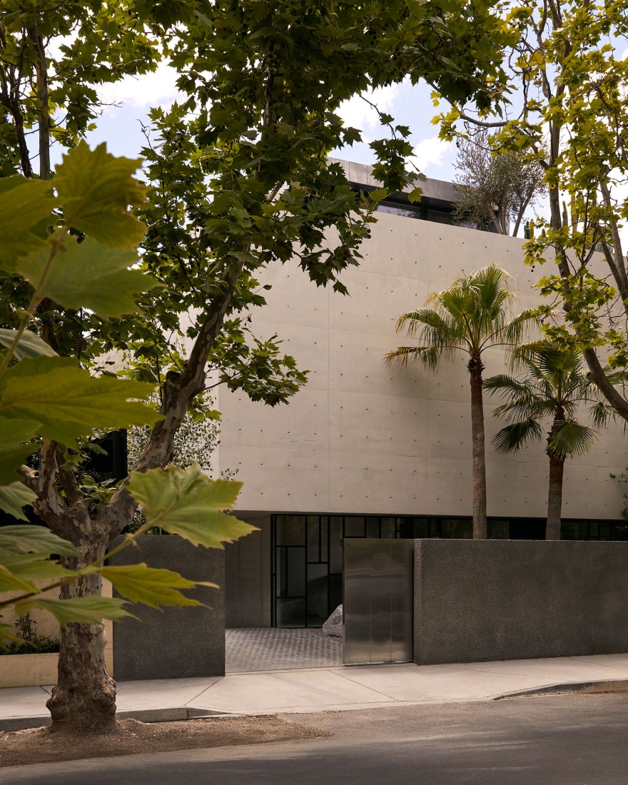 South Yarra House by Pandolfini Architects. Photograph by Lillie Thompson.