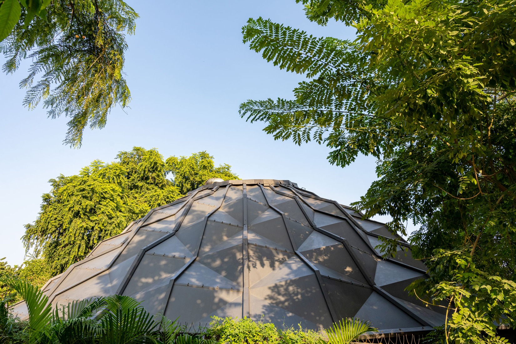 Darwin Bucky by andblack design studio. Photograph by Vinay Panjwani.