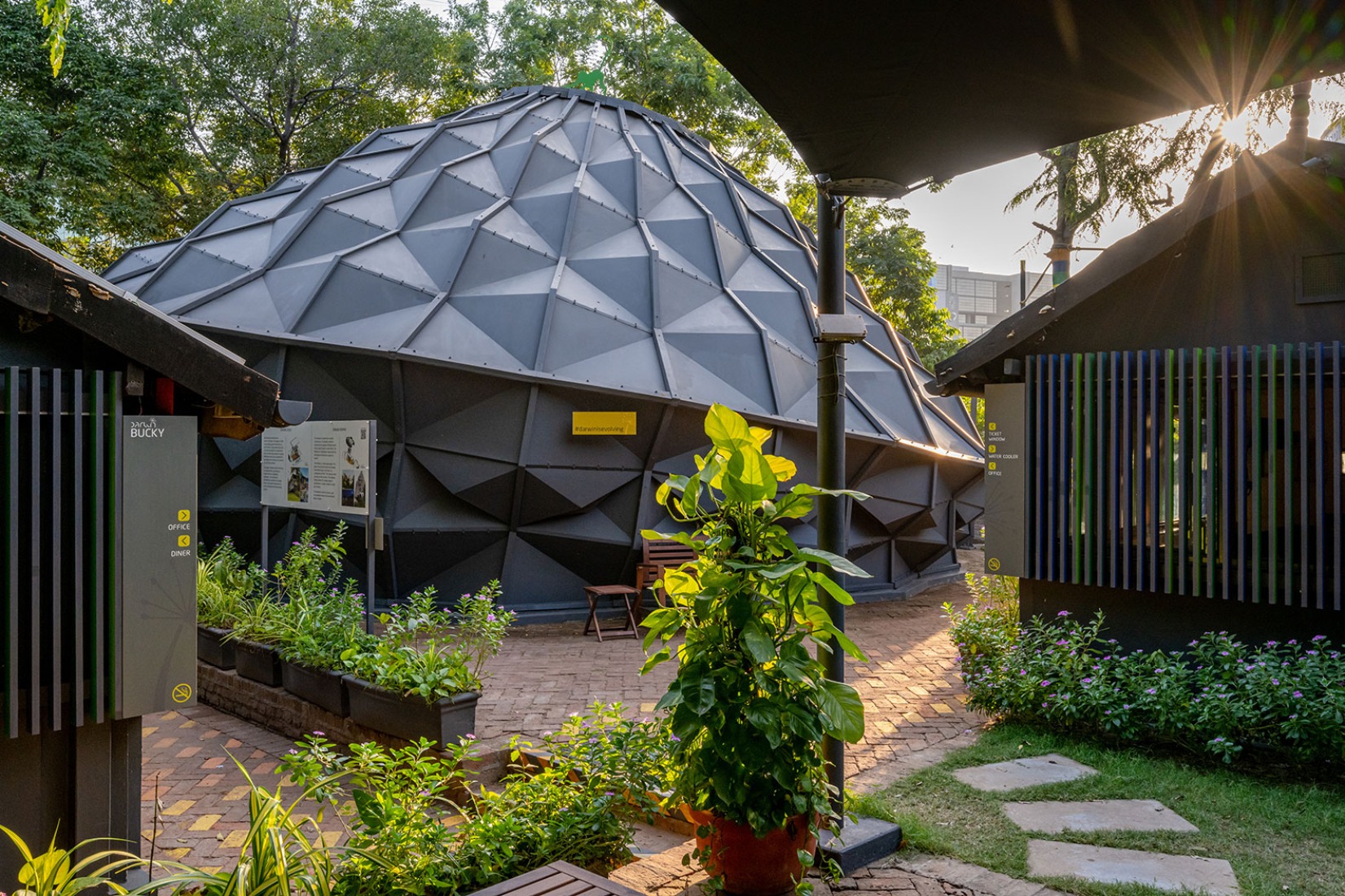 Darwin Bucky by andblack design studio. Photograph by Vinay Panjwani.