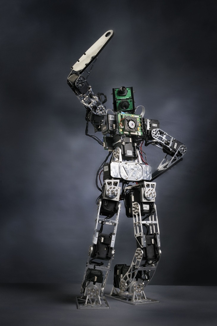Mis siete especies de robots.