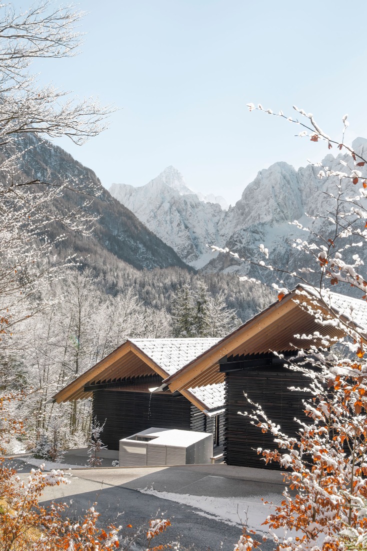 «Casas alpinas gemelas» por Dekleva Gregoric Architects. Fotografía por Ana Skobe.