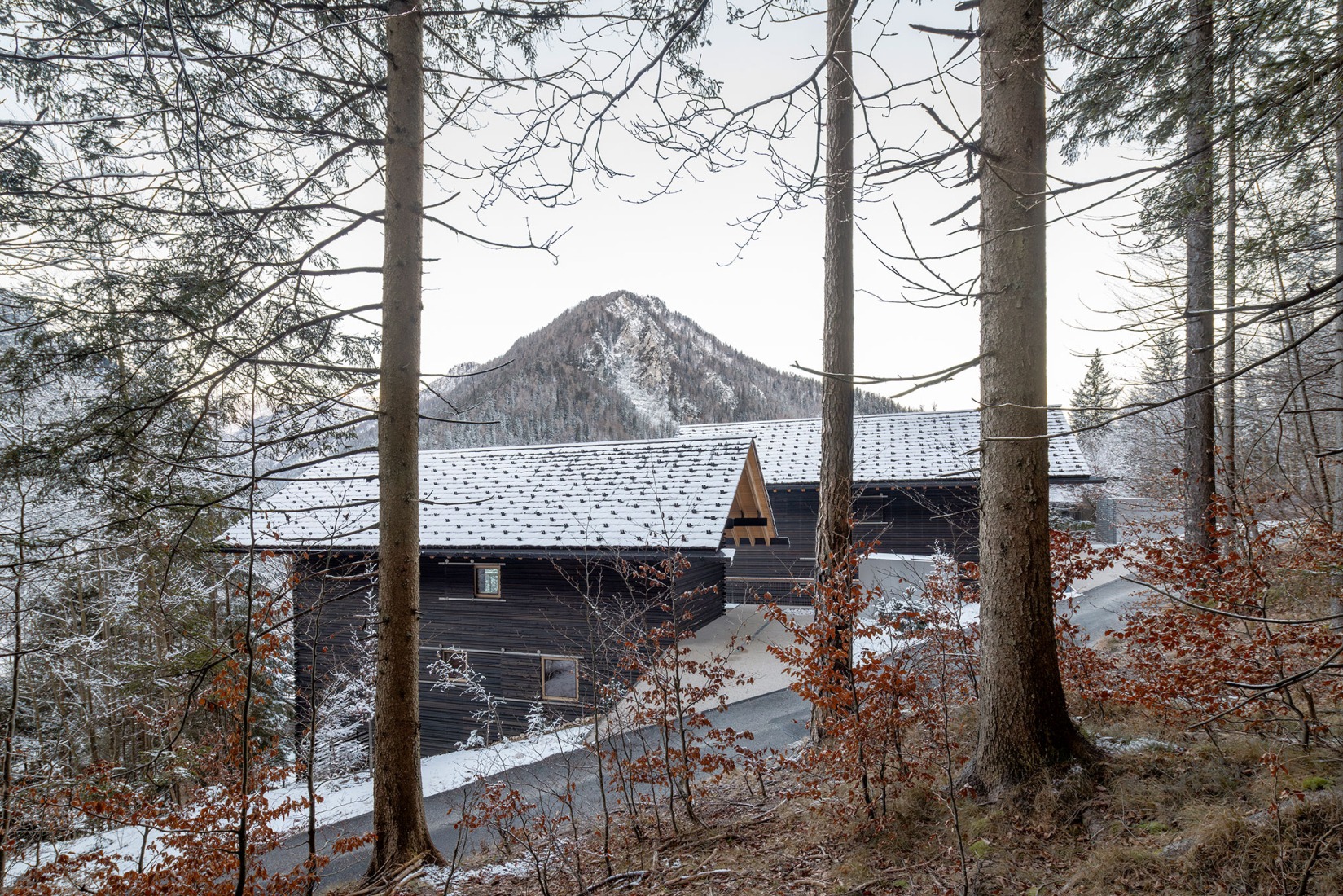 «Casas alpinas gemelas» por Dekleva Gregoric Architects. Fotografía por Ana Skobe.