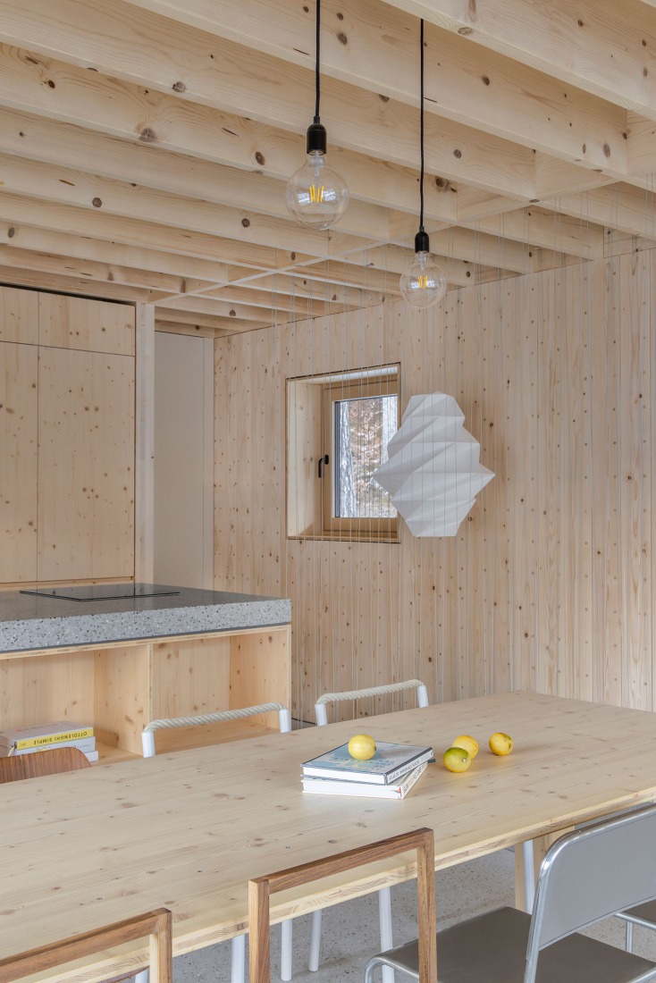 «Casas alpinas gemelas» por Dekleva Gregoric Architects. Fotografía por Ana Skobe.