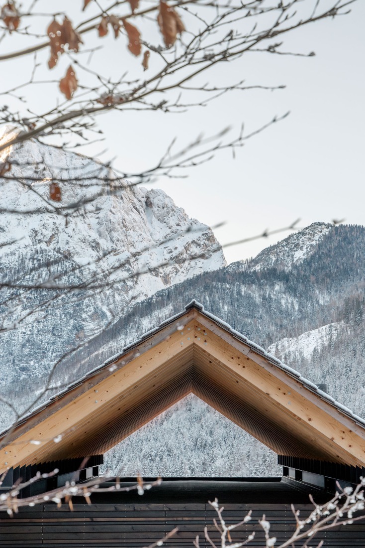 «Casas alpinas gemelas» por Dekleva Gregoric Architects. Fotografía por Ana Skobe.