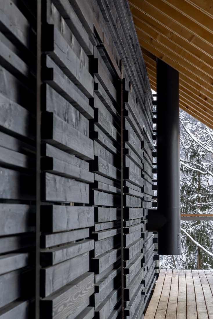 «Casas alpinas gemelas» por Dekleva Gregoric Architects. Fotografía por Ana Skobe.