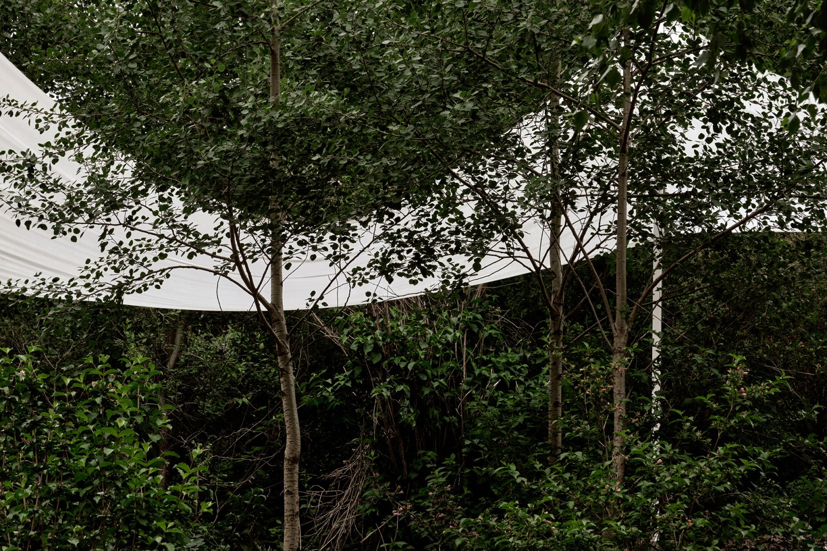 The Fan by Team_BLDG. Photograph by Jonathan Leijonhufvud.