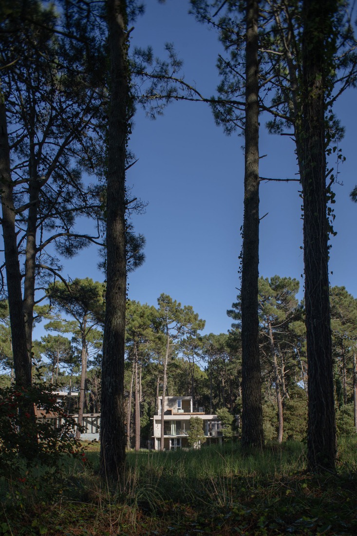 Choique House by Estudio Galera Arquitectura. Photograph by Diego Medina.