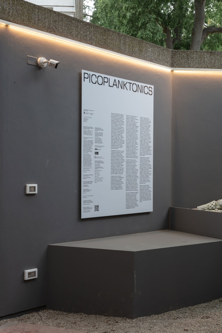 Picoplanktonics en el Pabellón de Canadá como parte de la Bienal de Venecia por Living Room Collective. Fotografía por Luca Capuano. Cortesía por La Biennale di Venezia.