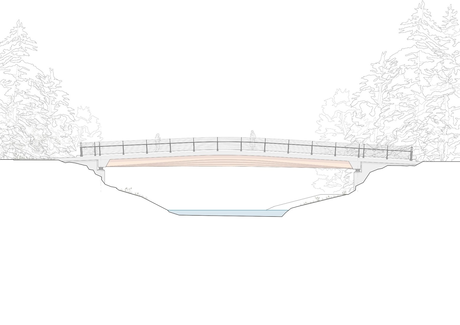 Elevation. Baiersbronn Bridge by Moxon Architects + IB Miebach.