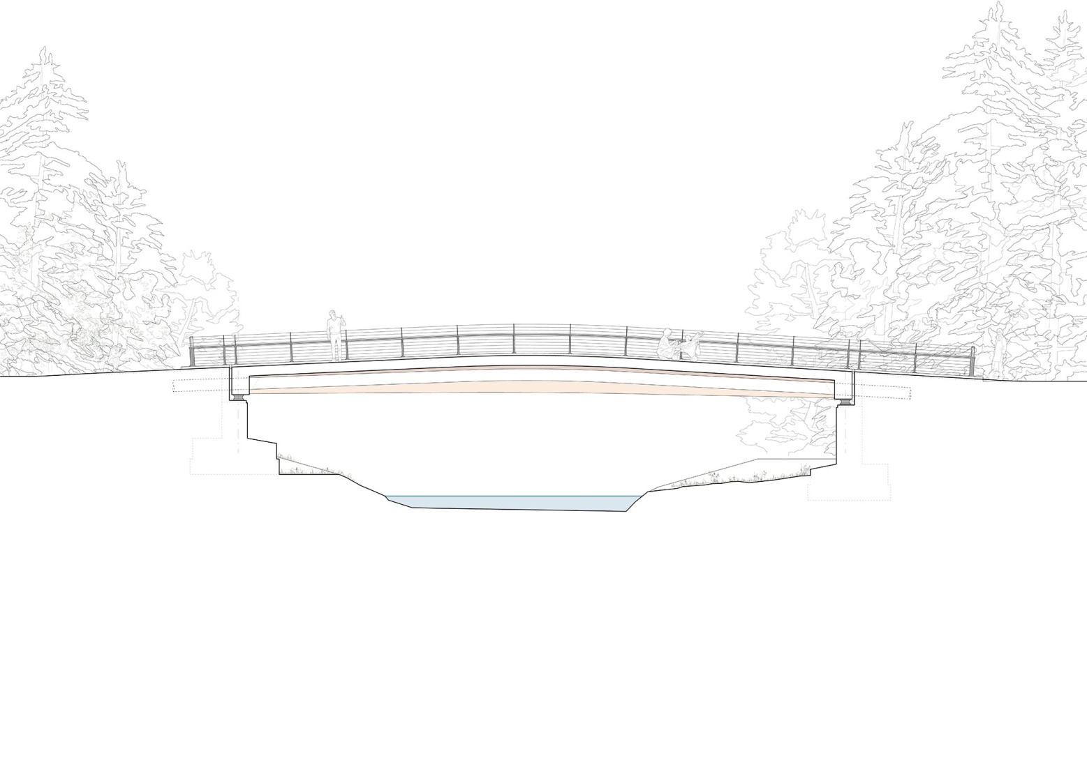 Longitudinal section. Baiersbronn Bridge by Moxon Architects + IB Miebach.