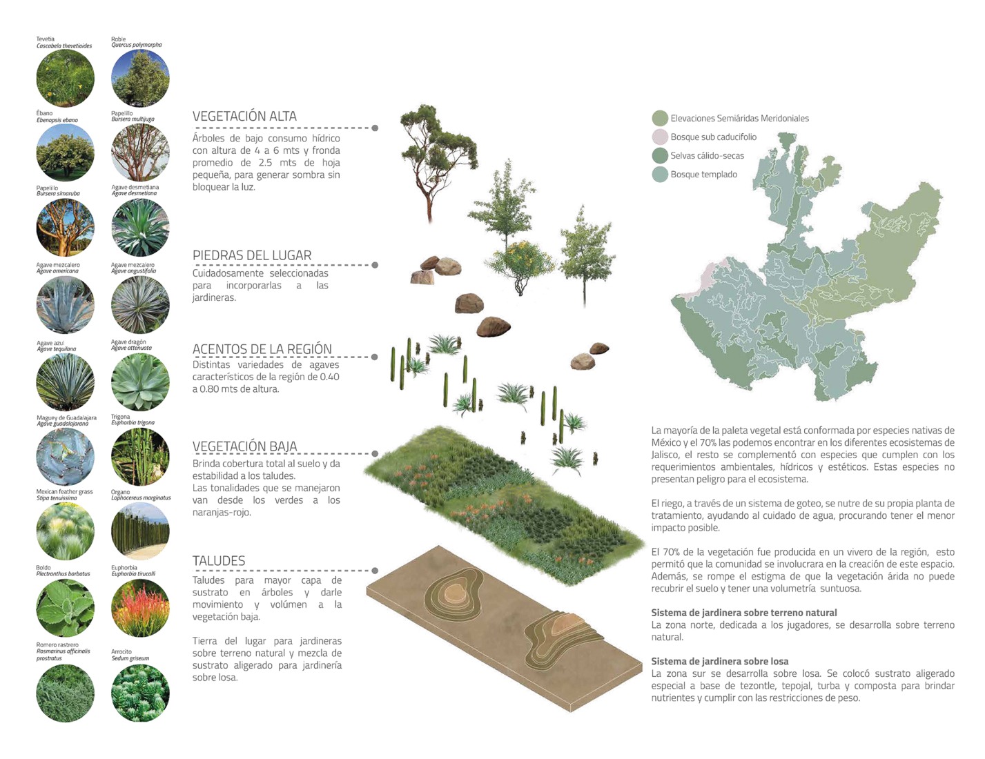 Graphic. Atlas Football Academy by Sordo Madaleno.