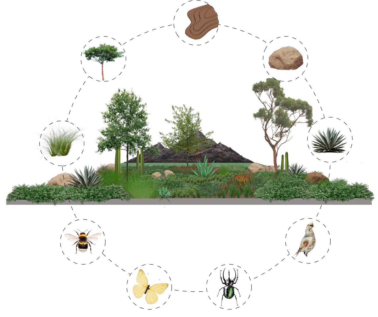 Graphic. Atlas Football Academy by Sordo Madaleno.