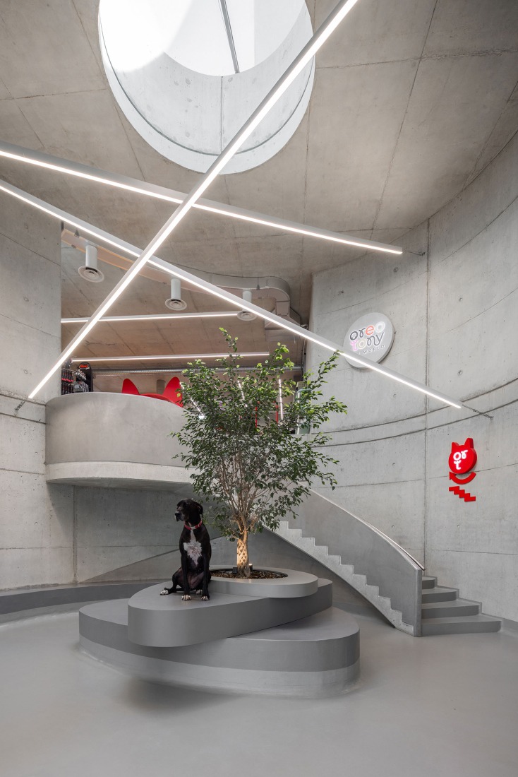 VET HOSPITAL por Davide Macullo Architects. Fotografía por Leonit Ibrahimi.