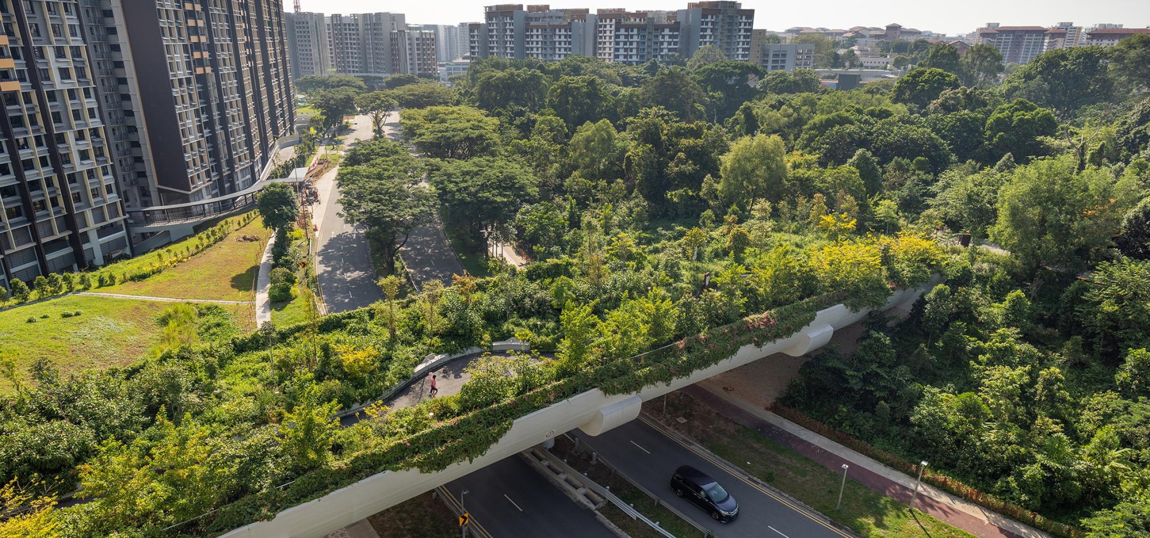 Parque Bidadari por Henning Larsen. Fotografía por Finbarr Fallon.