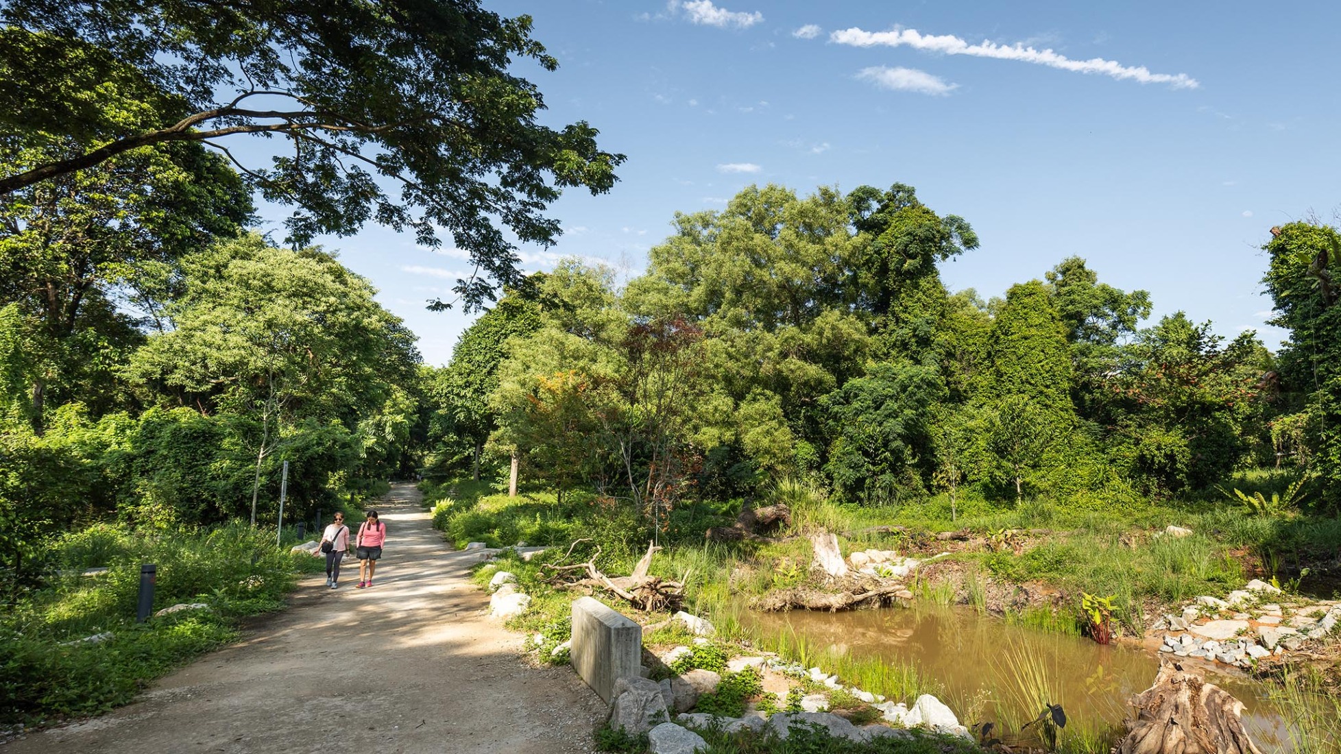 Parque Bidadari por Henning Larsen. Fotografía por Finbarr Fallon.