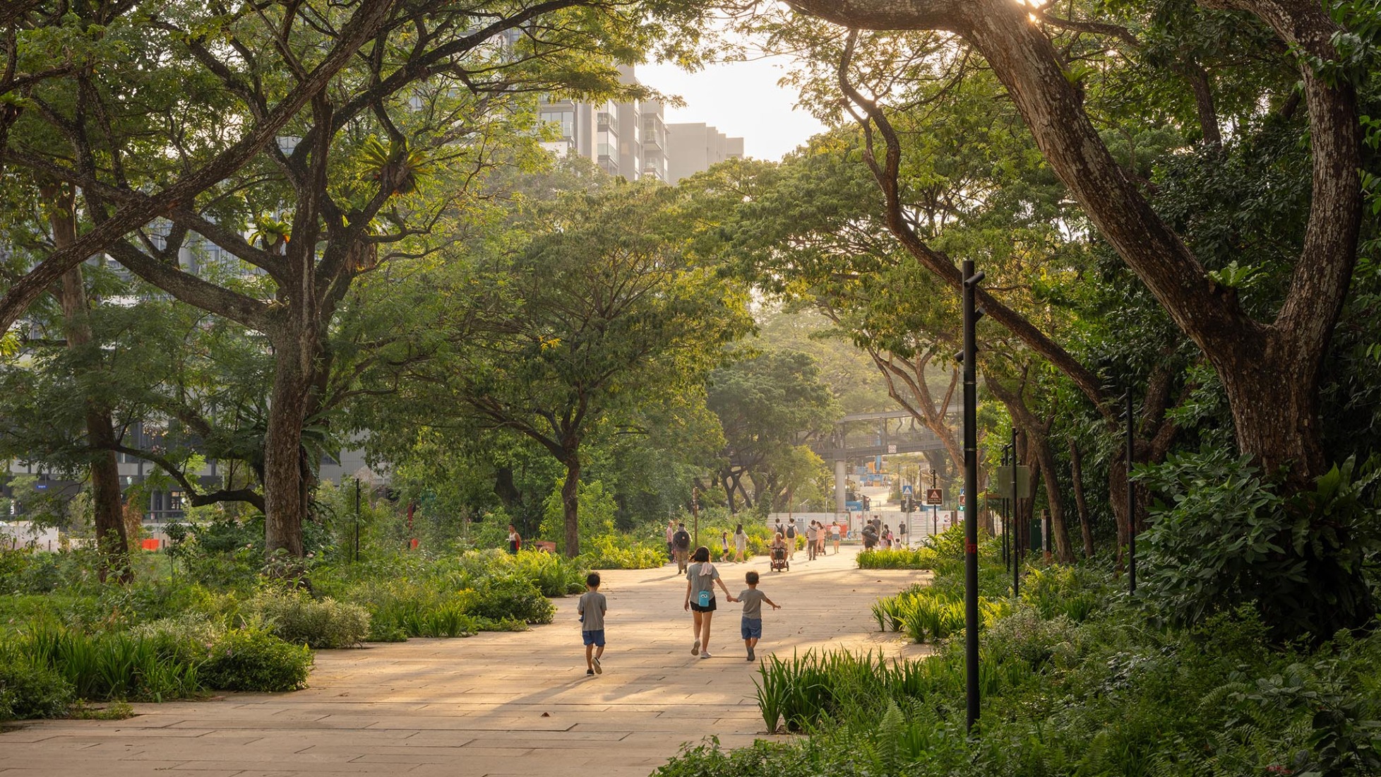 Parque Bidadari por Henning Larsen. Fotografía por Finbarr Fallon.