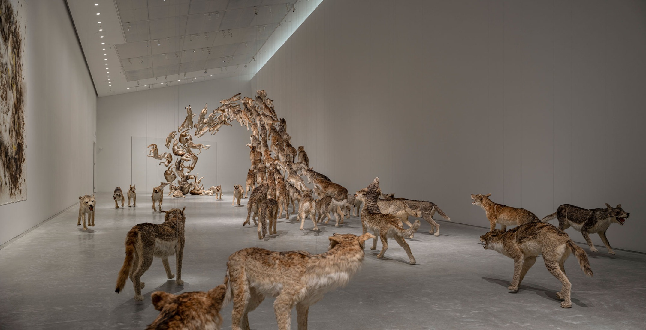 Cai Guo-Qiang, De frente, 2006. Fotografía por Kenryou Gu.