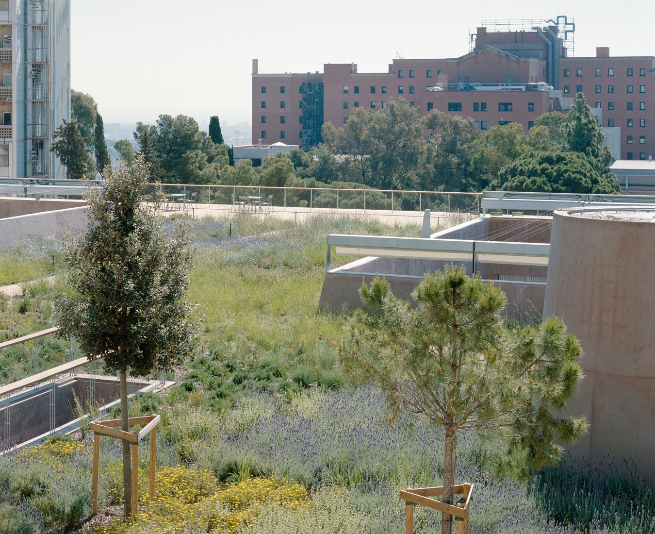 VHIR Vall d’Hebron Campus Research Center by BAAS + ESPINET/UBACH. Photograph by Gregori Civera.