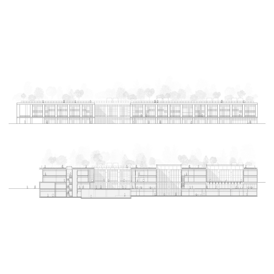 Front elevation and longitudinal section. VHIR Vall d’Hebron Campus Research Center by BAAS + ESPINET/UBACH.