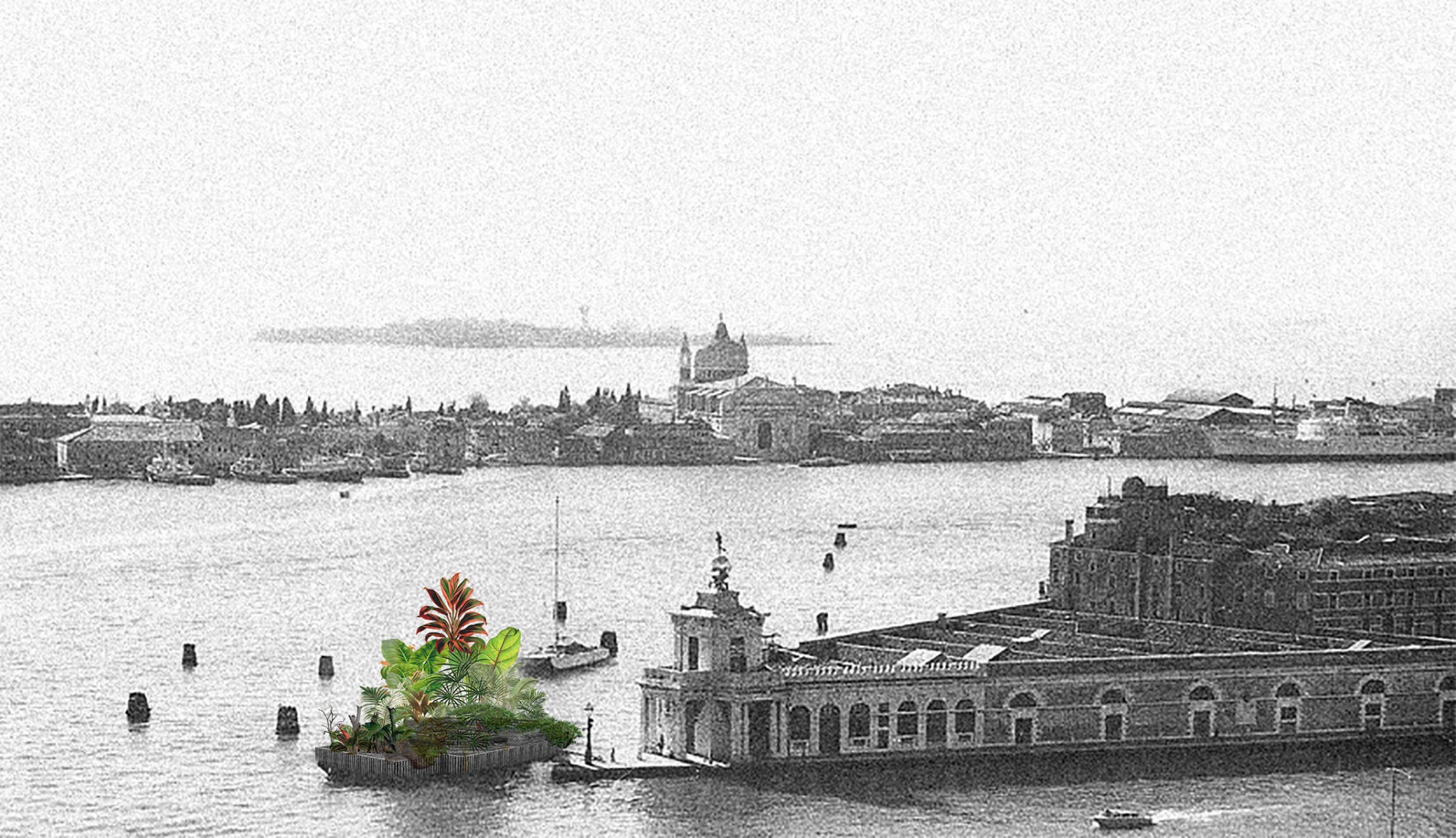 Collage of the Chinampa Veneta, 2025, Collage over an image of Teatro del Mondo from Aldo Rossi. Chinampa Veneta.