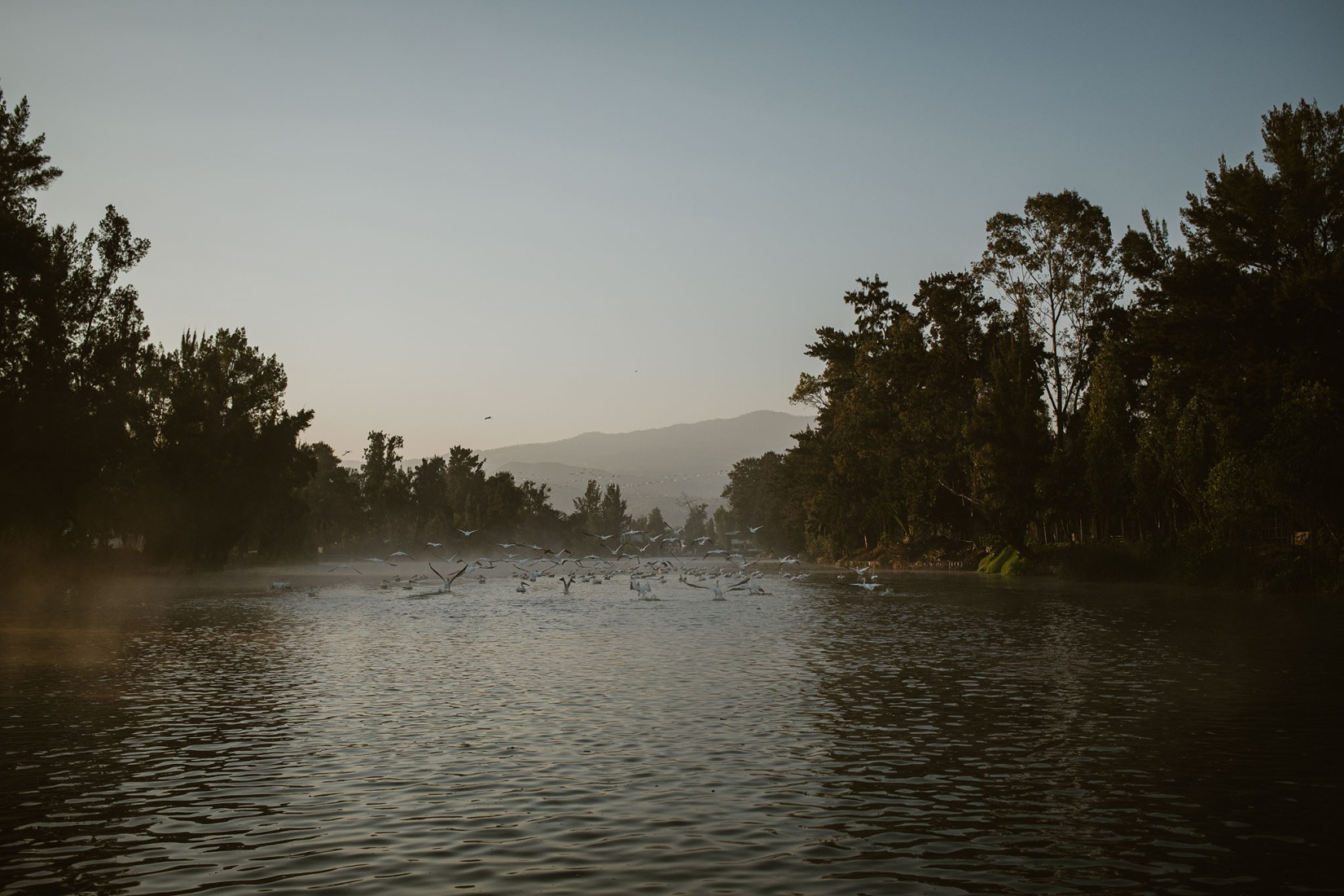 Xochimilco, 2025. Photograph by Uta Gleiser.