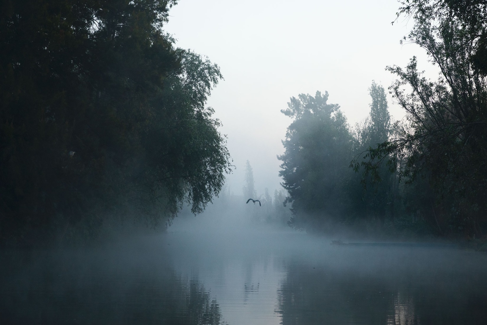 Xochimilco, 2025. Fotografía por Yvonne Venegas.
