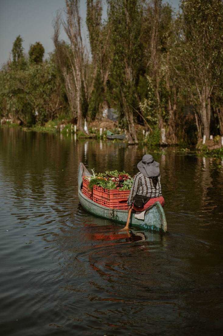 Xochimilco, 2025. Photograph by Uta Gleiser.