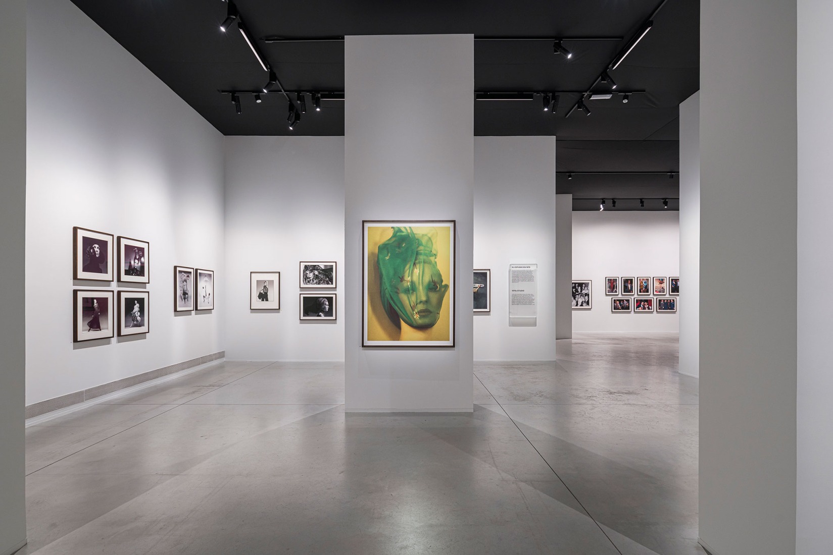 Vista de la exposición David Bailey's Changing Fashion. Cortesía por la Fundación MOP.