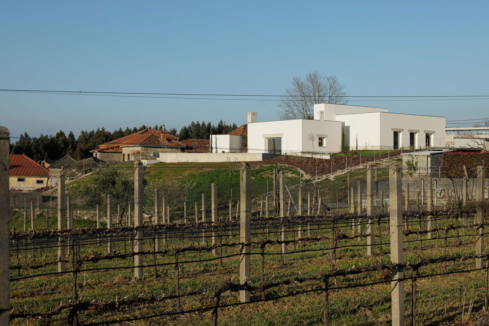 Casa Pedrantil por Helder da Rocha Arquitectos. Fotografía por Ivo Tavares Studio.