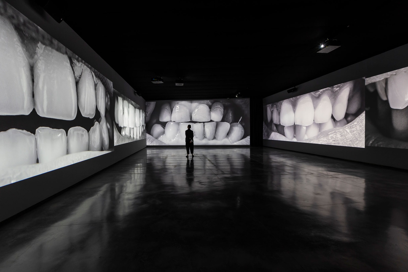 2.068 dientes (2022-2025), Santiago Sierra. Fotografía por Jorge Armestar. Cortesía del Estudio Santiago Sierra y Museo Helga de Alvear.