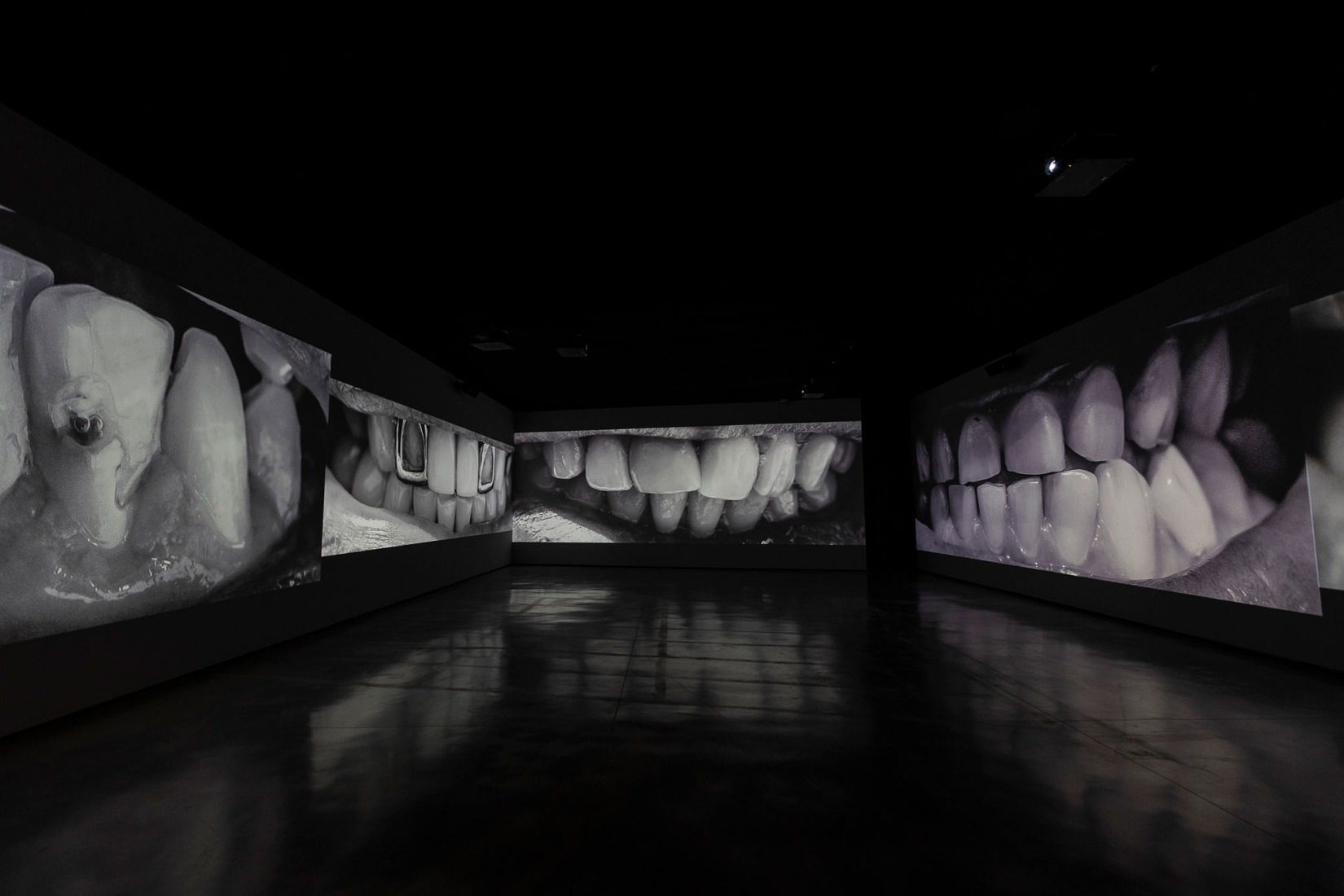 2.068 dientes (2022-2025), Santiago Sierra. Fotografía por Jorge Armestar. Cortesía del Estudio Santiago Sierra y Museo Helga de Alvear.