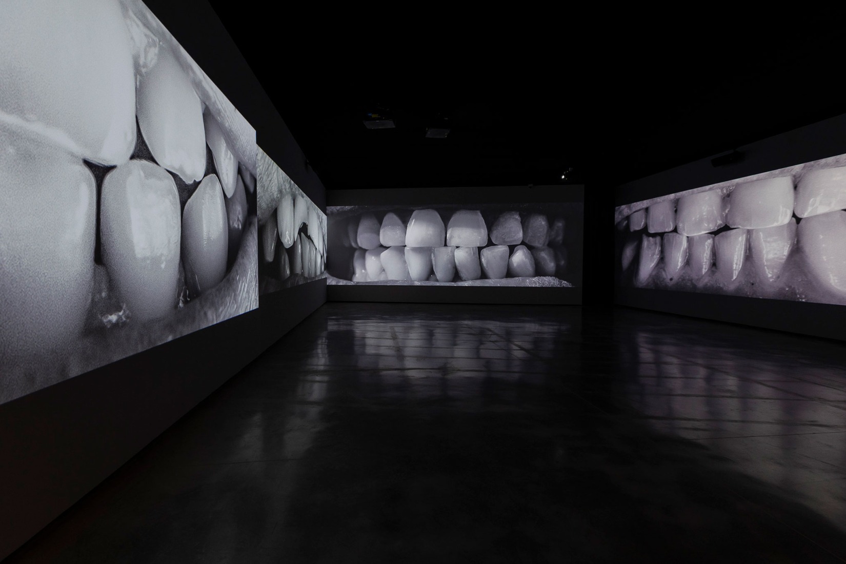 2.068 dientes (2022-2025), Santiago Sierra. Fotografía por Jorge Armestar. Cortesía del Estudio Santiago Sierra y Museo Helga de Alvear.