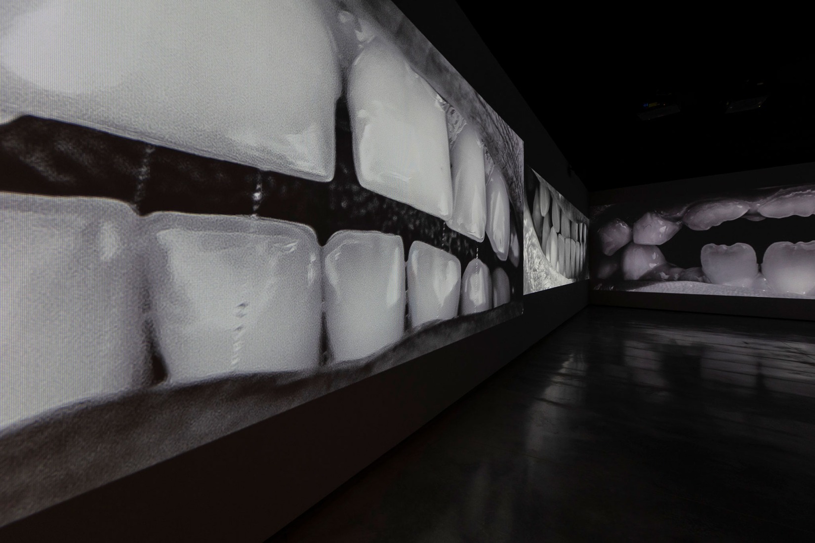 2.068 dientes (2022-2025), Santiago Sierra. Fotografía por Jorge Armestar. Cortesía del Estudio Santiago Sierra y Museo Helga de Alvear.
