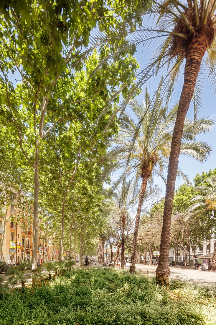 Rambla del Raval y entorno por VORA. Fotografía por Adrià Goula.