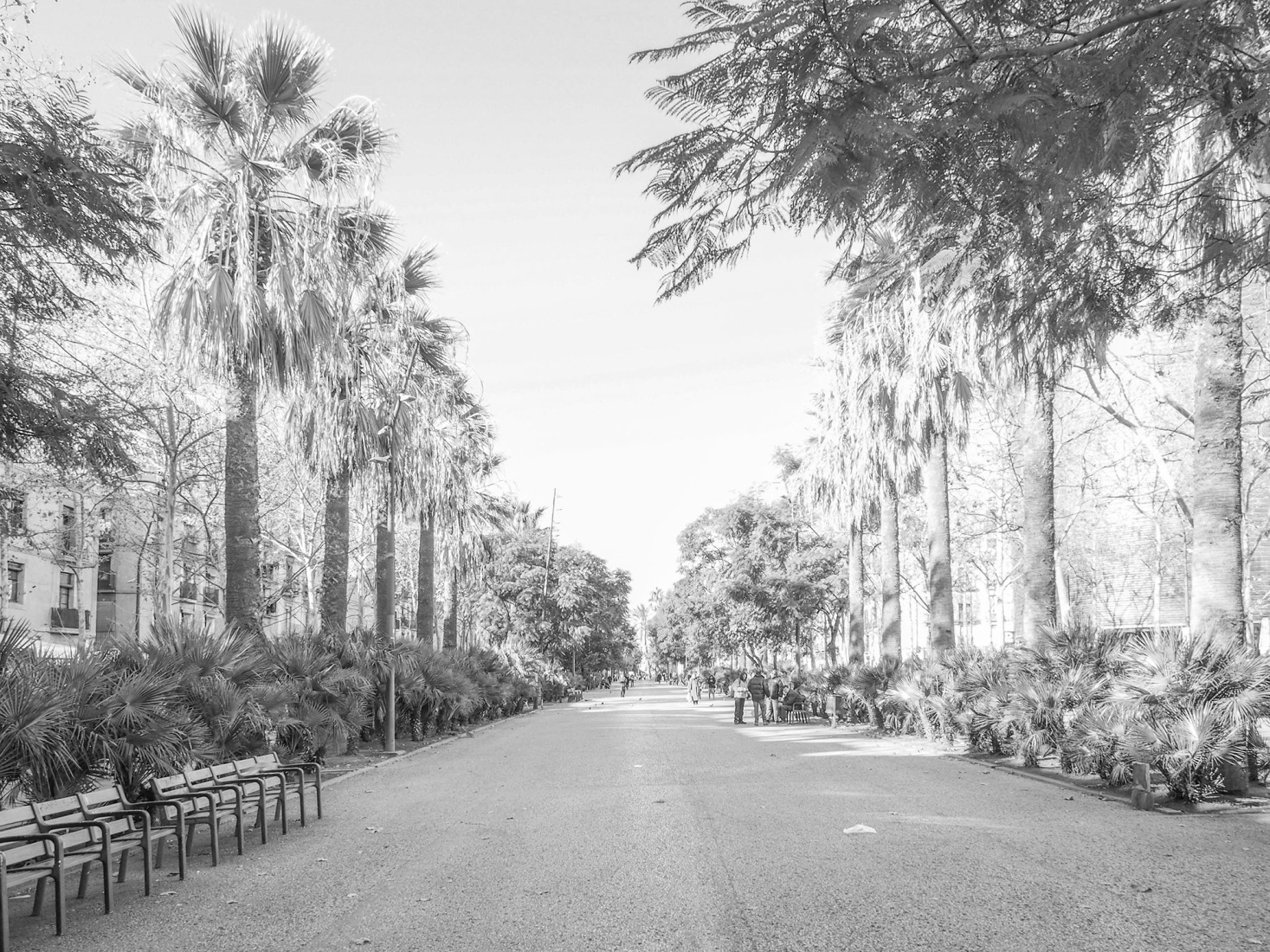Estado previo. Rambla del Raval y entorno por VORA. Fotografía por Adrià Goula.