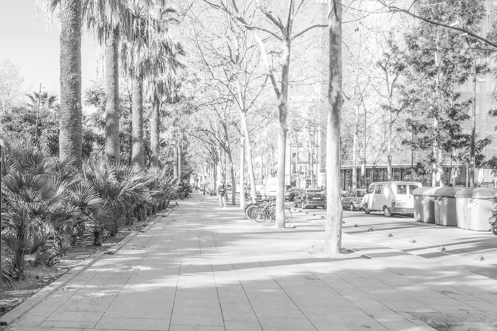 Estado previo. Rambla del Raval y entorno por VORA. Fotografía por Adrià Goula.