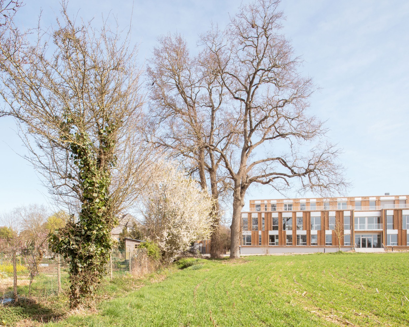 "Bois Harel" by Alta Architectes. Photograph by Gaëtan Chevrier.