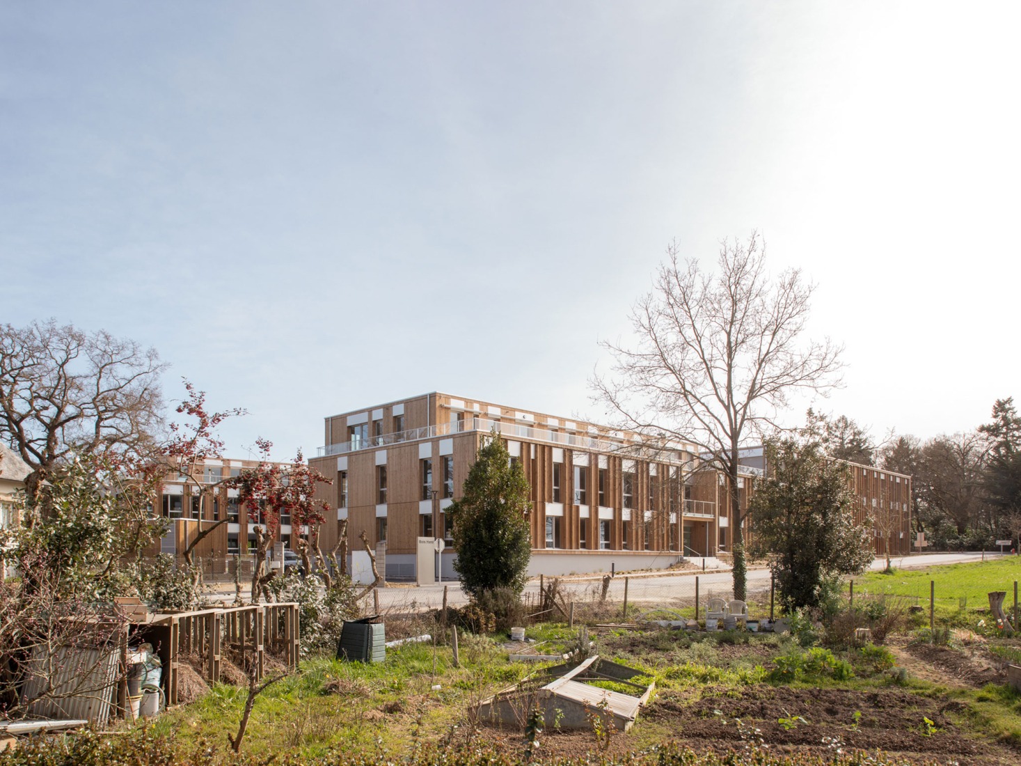 "Bois Harel" by Alta Architectes. Photograph by Gaëtan Chevrier.