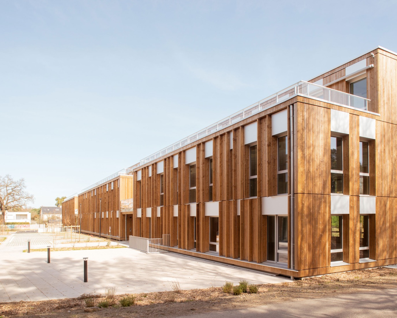 "Bois Harel" by Alta Architectes. Photograph by Gaëtan Chevrier.