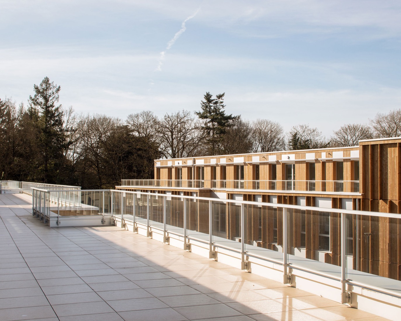 "Bois Harel" by Alta Architectes. Photograph by Gaëtan Chevrier.