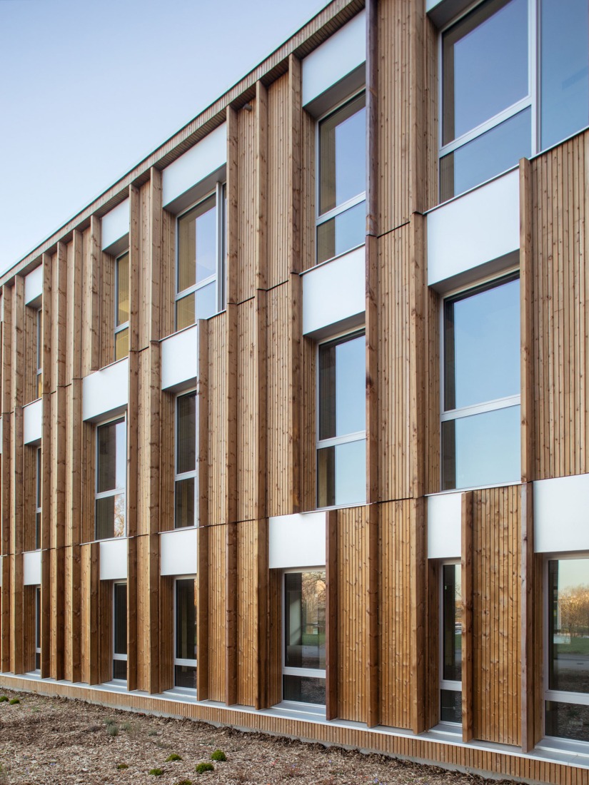 "Bois Harel" by Alta Architectes. Photograph by Gaëtan Chevrier.