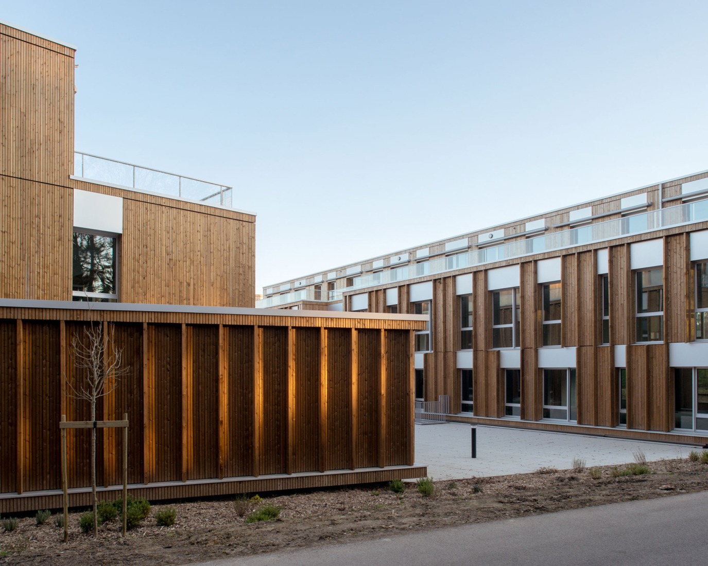 "Bois Harel" by Alta Architectes. Photograph by Gaëtan Chevrier.