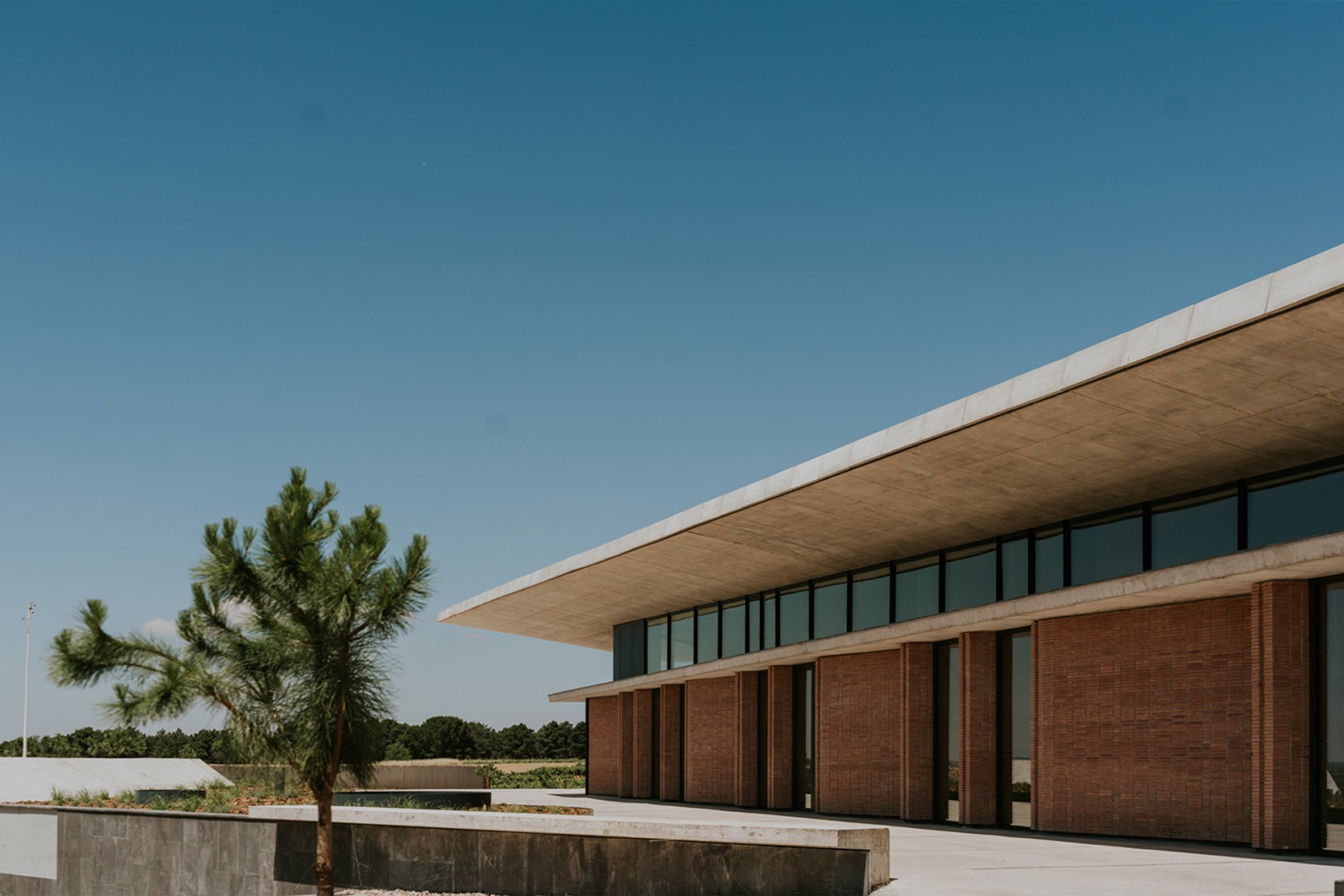 Bodegas La Horra by Carme Pinós. Photograph by La Cueva Estudio.