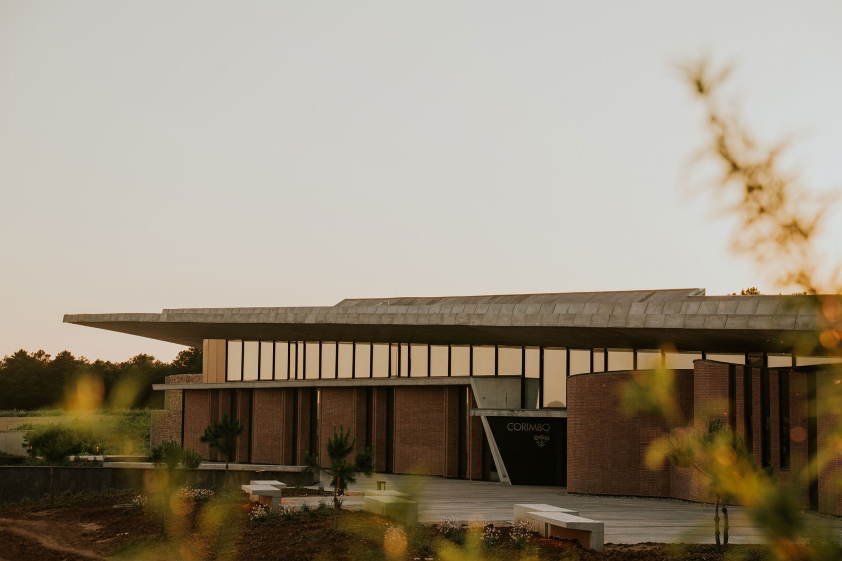 Bodegas La Horra by Carme Pinós. Photograph by La Cueva Estudio.