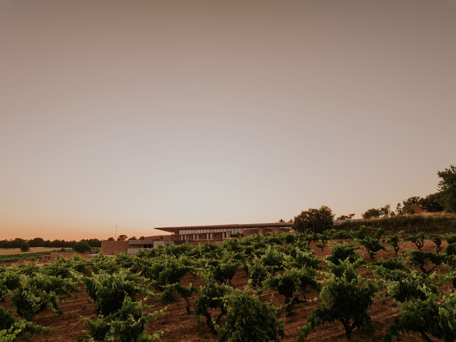 Bodegas La Horra by Carme Pinós. Photograph by La Cueva Estudio.
