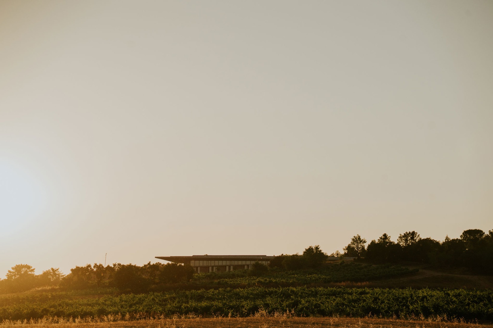 Bodegas La Horra by Carme Pinós. Photograph by La Cueva Estudio.
