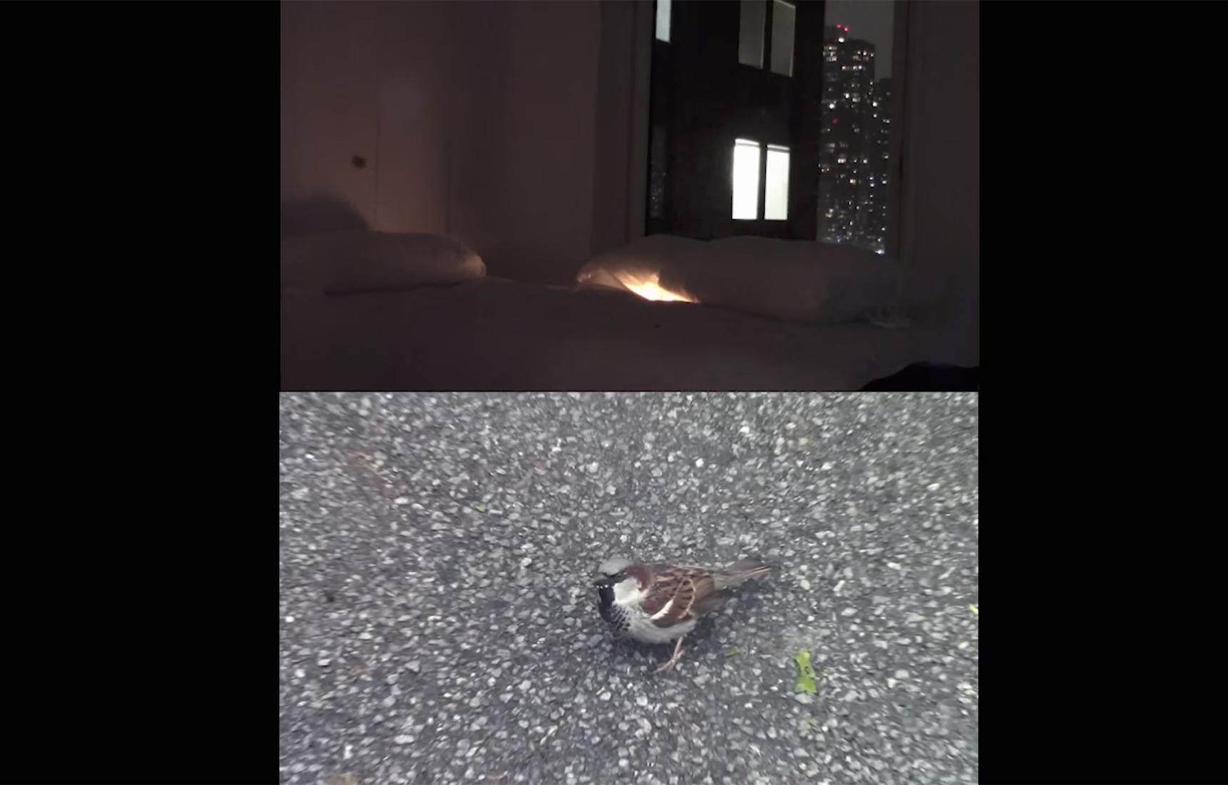 "chica de cristal" by Judeline.