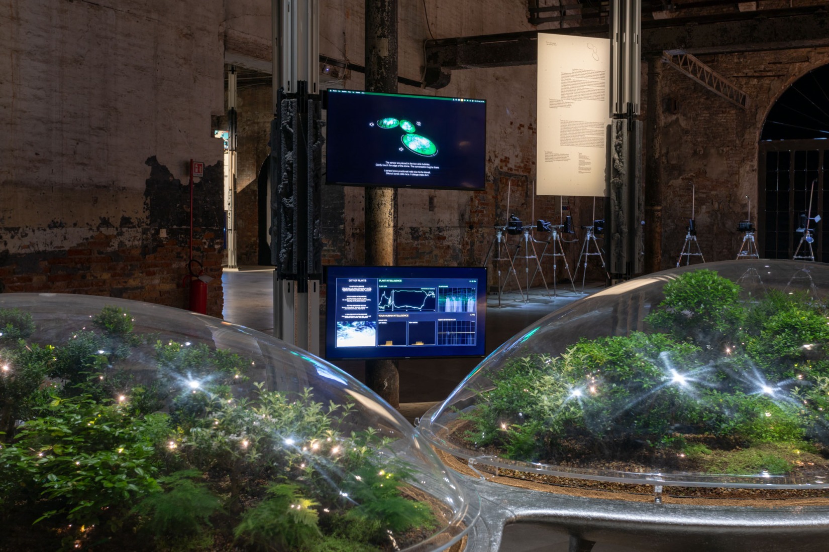 «City of plants» por Parcnouveau y MAD. Fotografía por Luca Capuano, cortesía de La Biennale di Venezia.