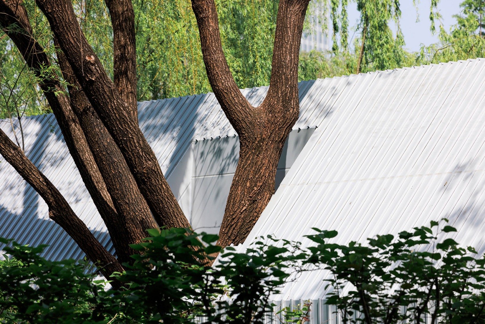 The Lake House – Life Experience Pavilion by Wutopia Lab. Photograph by Guowei Liu.